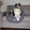 Scruffs Wilton Sofa Dog Bed